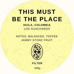 This Must Be The Place