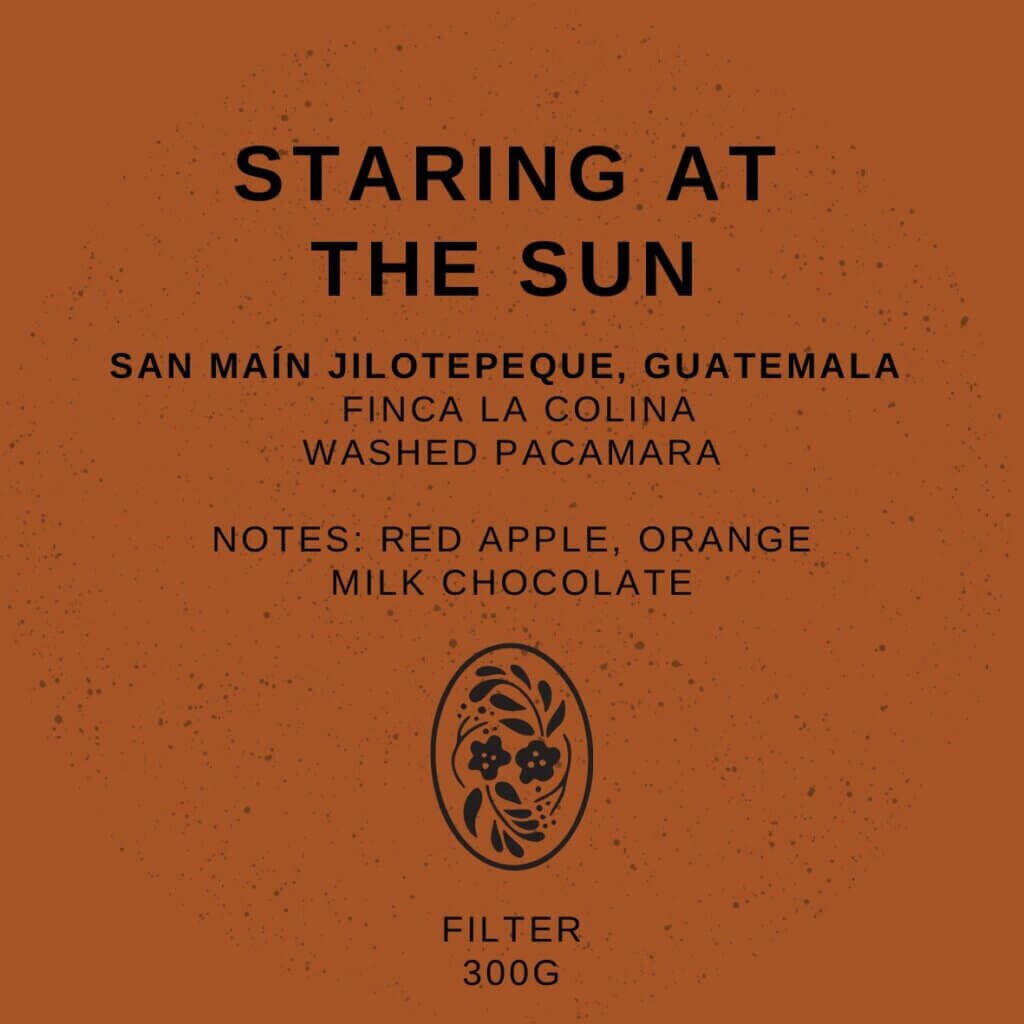 Staring at the Sun